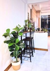 Blue Horizon (D5), Condominium #499988401